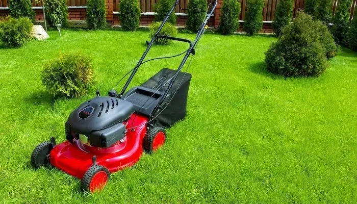 Best Electric Start Self Propelled Lawn Mower