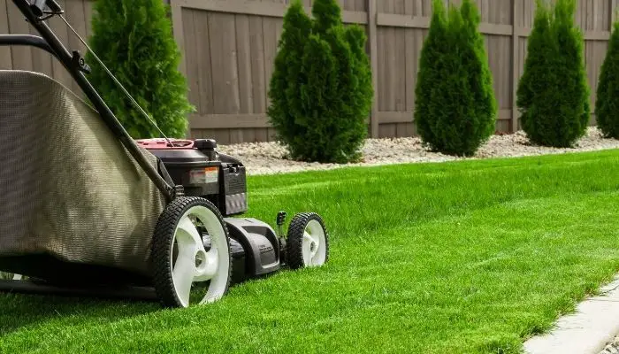 Best Lawnmower Under 400