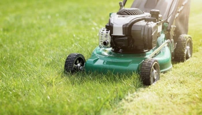 Best self propelled lawn mower