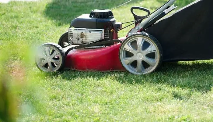 lawn mower under 300 (1)